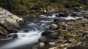 strumienie_wody_zywej
