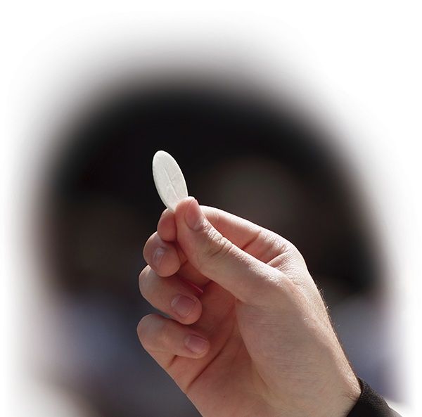 378546_anna_hp250_34