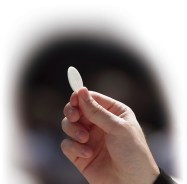 378546_anna_hp250_34